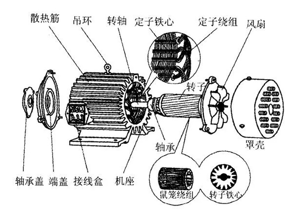 三相異步電動機的六種分類方法及具體分類。